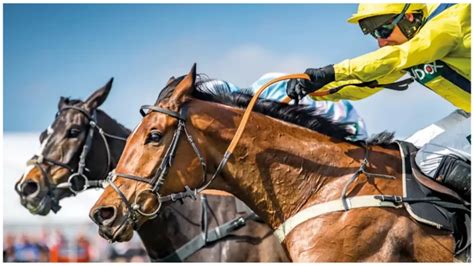 runners and riders for the grand national|Grand National Runners 2024 (Full List of Horses & Riders).